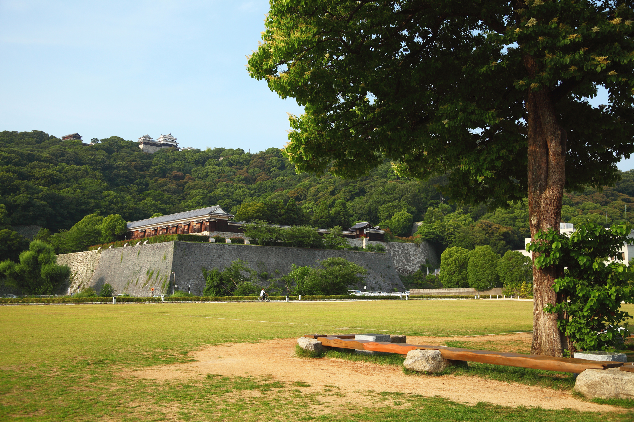 城山公園から松山城を仰ぐ