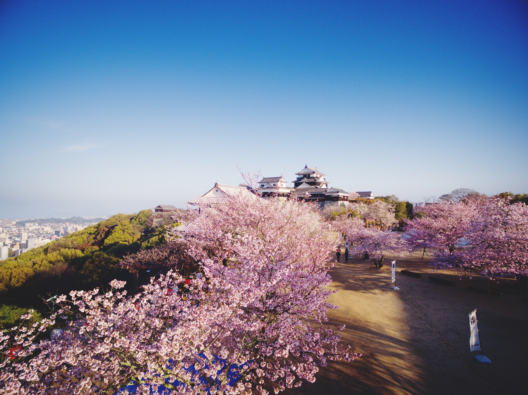 Facebookに「もうすぐ見ごろ！松山城の桜」の記事を投稿しました