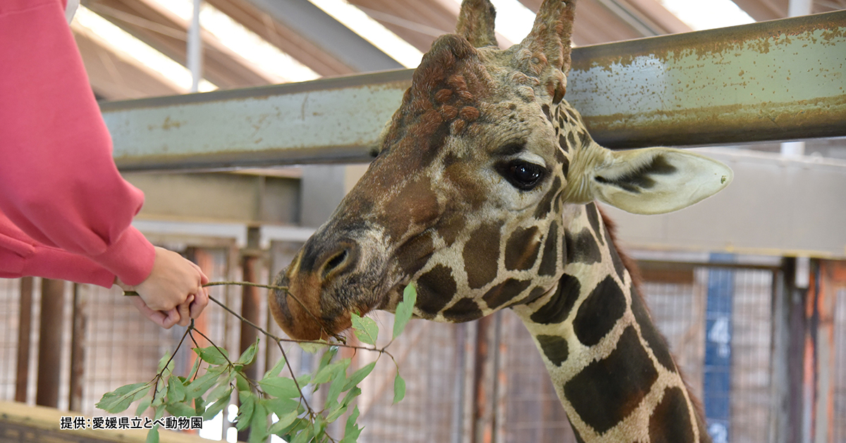 とべ動物園