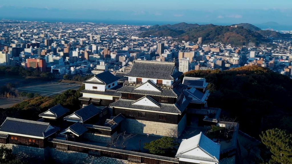 上空から見た松山城