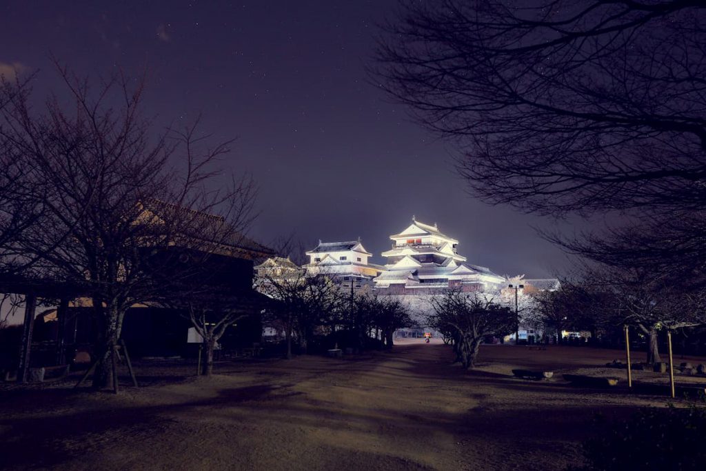 暗闇に浮かぶ、ライトアップされた松山城