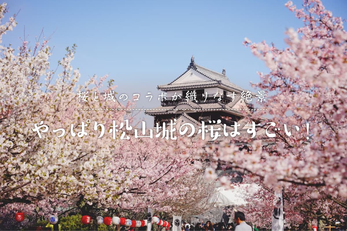 桜と城のコラボが織りなす絶景。やっぱり松山城の桜はすごい！