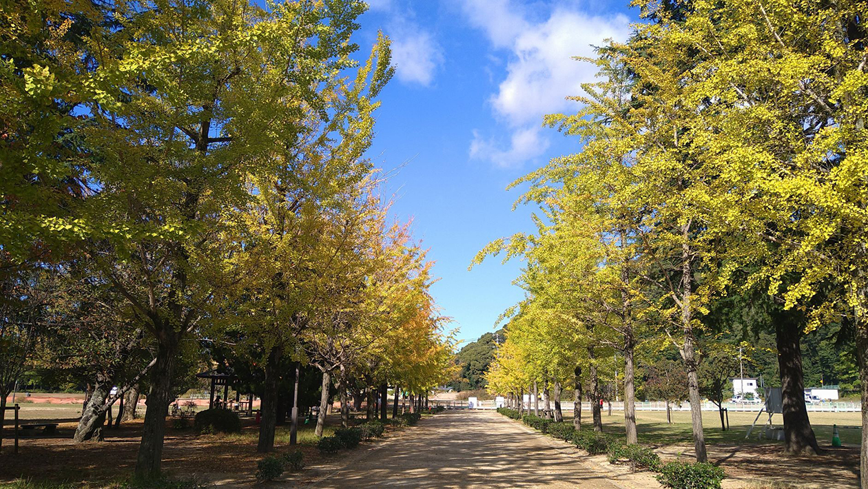 城山公園